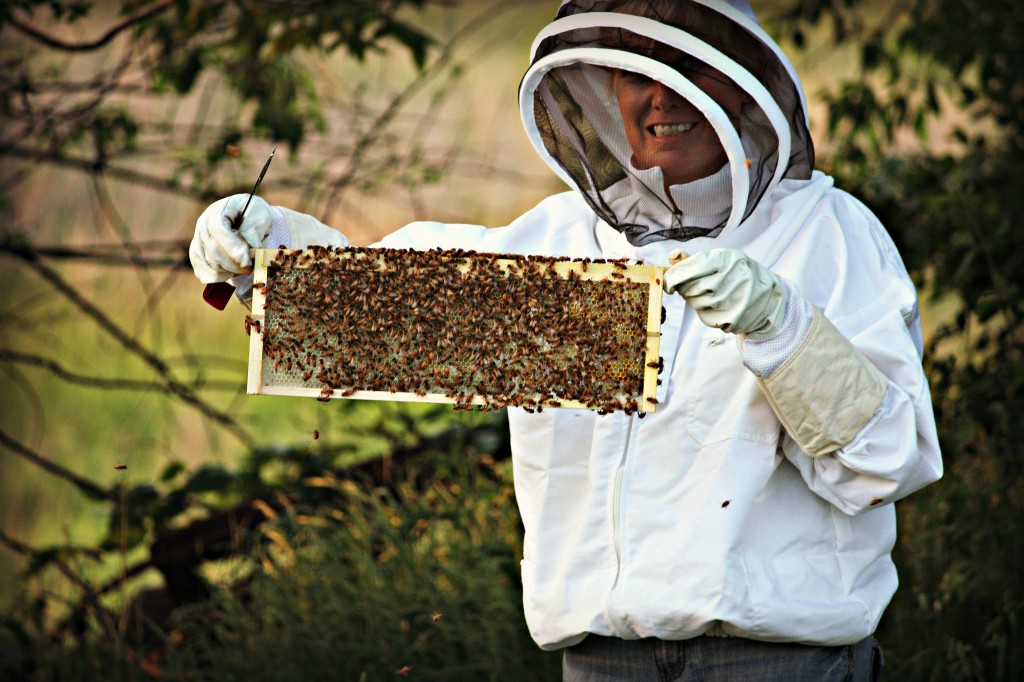 Honey Bees on the Farm – Ruffwing Farms